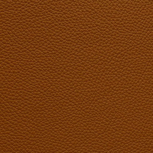 Leather Burnt Ochre