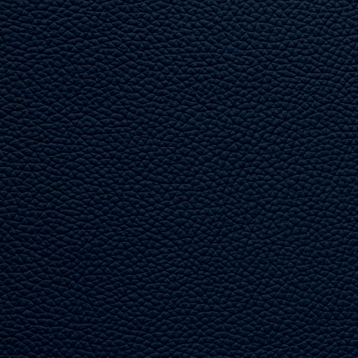 Leather Deep Atlantic