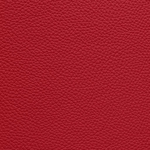 Leather Electrric Ruby