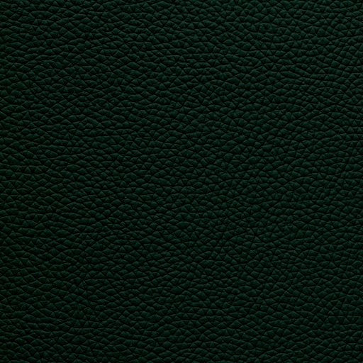 Leather Evergreen Moss