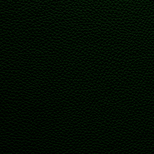 Leather Green Money