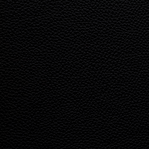 Leather Plain Black