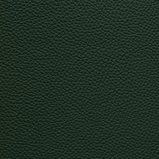 Leather Storm Clover