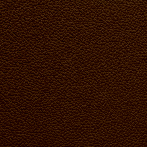 Leather Sun Baked